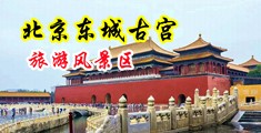 操我骚逼逼视频中国北京-东城古宫旅游风景区